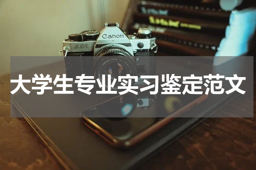 大学生专业实习鉴定范文
