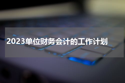 2023单位财务会计的工作计划