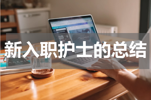 新入职护士的总结