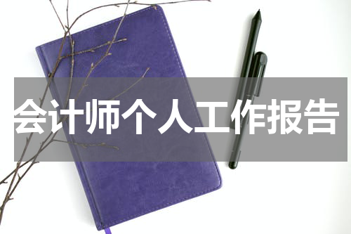 会计师个人工作报告