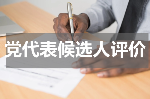 党代表候选人评价