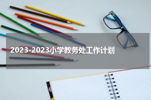 2023-2023小学教务处工作计划