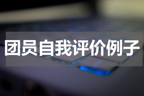 团员自我评价例子
