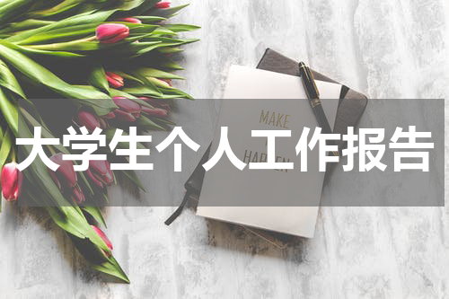 大学生个人工作报告