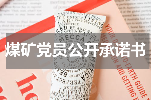 煤矿党员公开承诺书