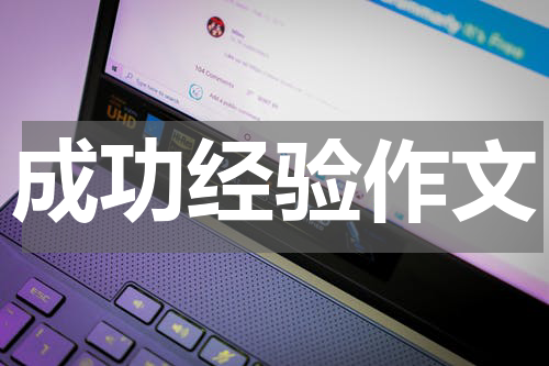 成功经验作文
