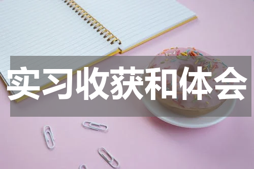 实习收获和体会