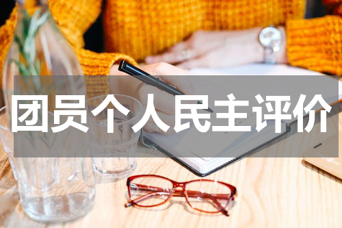 团员个人民主评价