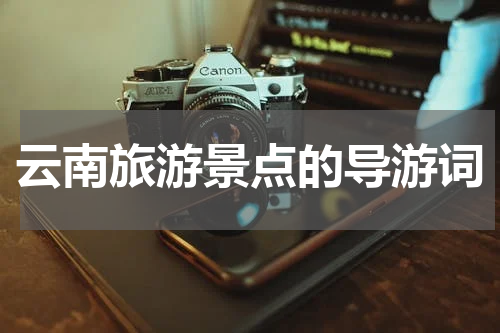 云南旅游景点的导游词