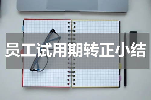 员工试用期转正小结