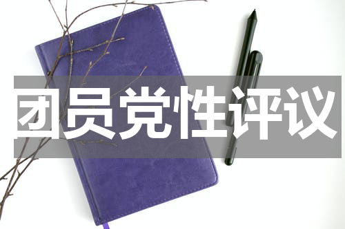 团员党性评议