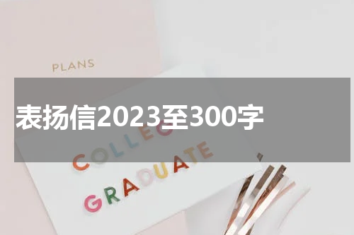 表扬信2023至300字