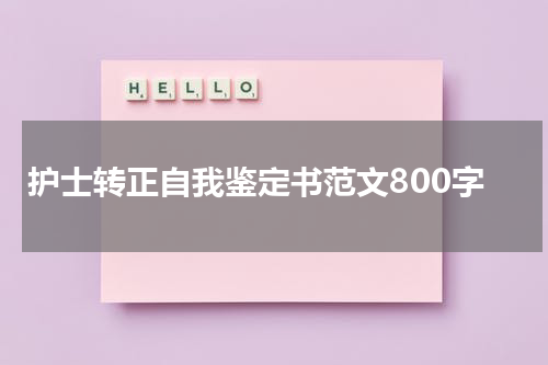 护士转正自我鉴定书范文800字