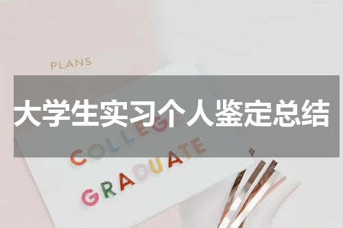 大学生实习个人鉴定总结