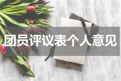 团员评议表个人意见