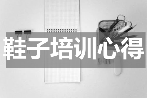 鞋子培训心得