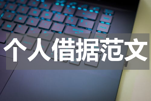 个人借据范文