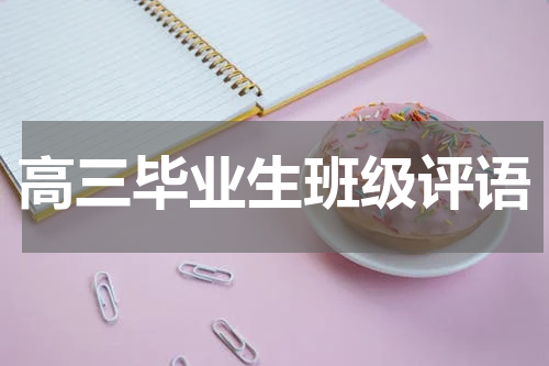 高三毕业生班级评语