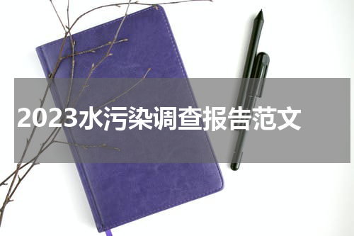 2023水污染调查报告范文