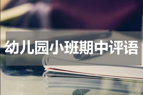 幼儿园小班期中评语