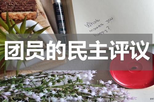 团员的民主评议