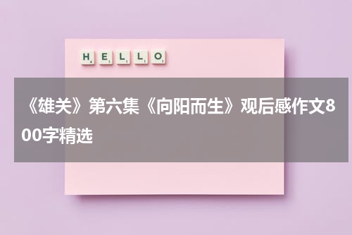 《雄关》第六集《向阳而生》观后感作文800字精选