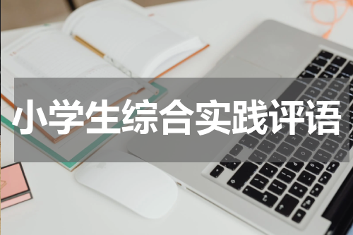 小学生综合实践评语