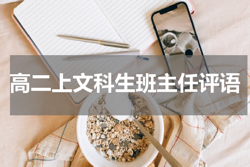 高二上文科生班主任评语
