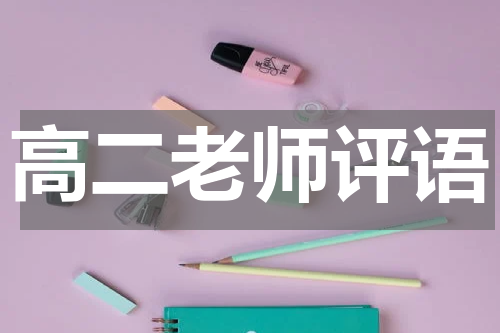 高二老师评语
