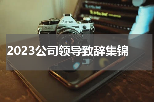 2023公司领导致辞集锦