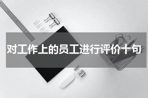 对工作上的员工进行评价十句