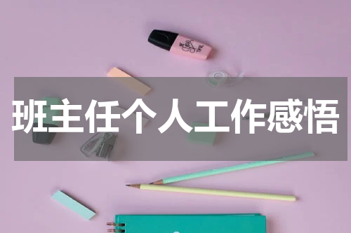班主任个人工作感悟