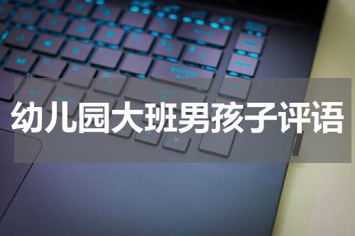 幼儿园大班男孩子评语