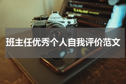 班主任优秀个人自我评价范文