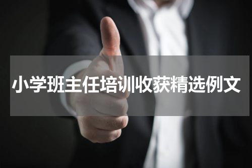 小学班主任培训收获精选例文