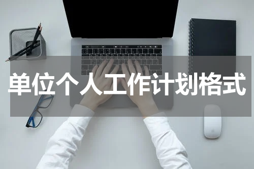 单位个人工作计划格式