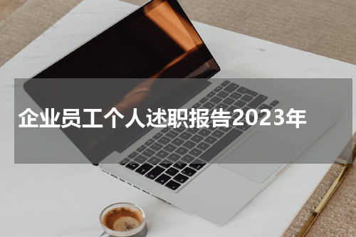 企业员工个人述职报告2023年