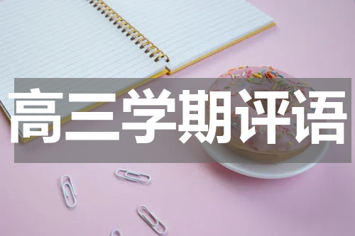 高三学期评语