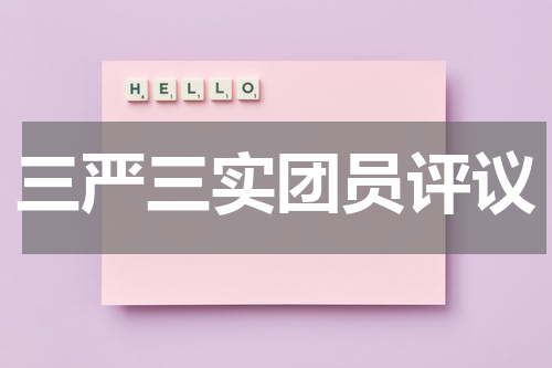 三严三实团员评议