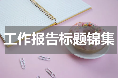 工作报告标题锦集