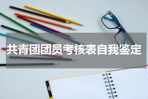 共青团团员考核表自我鉴定