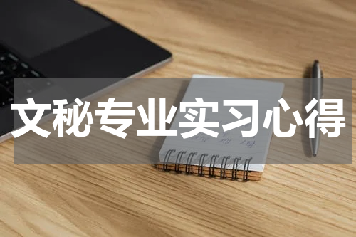 文秘专业实习心得