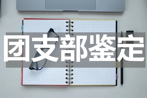 团支部鉴定