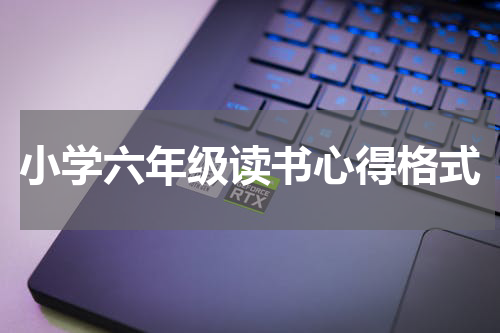 小学六年级读书心得格式