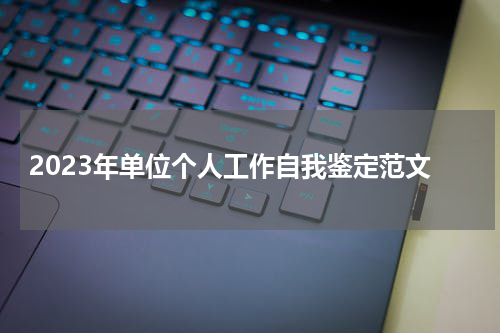 2023年单位个人工作自我鉴定范文