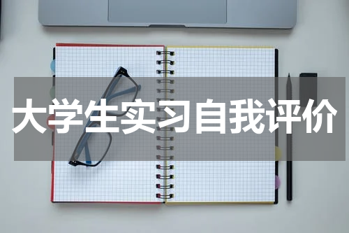 大学生实习自我评价
