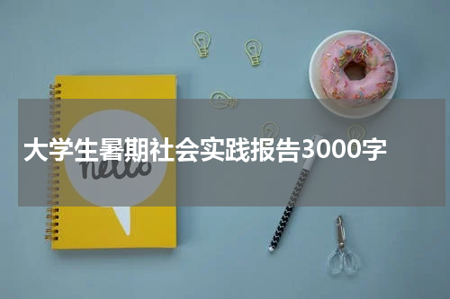 大学生暑期社会实践报告3000字