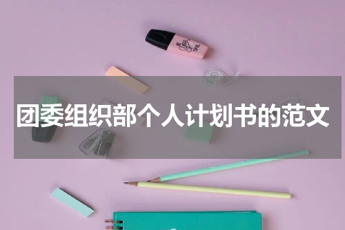 团委组织部个人计划书的范文