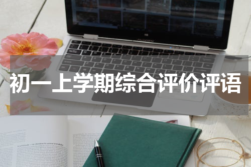 初一上学期综合评价评语