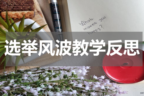 选举风波教学反思